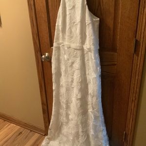 Brides Dress (New—Never Worn)